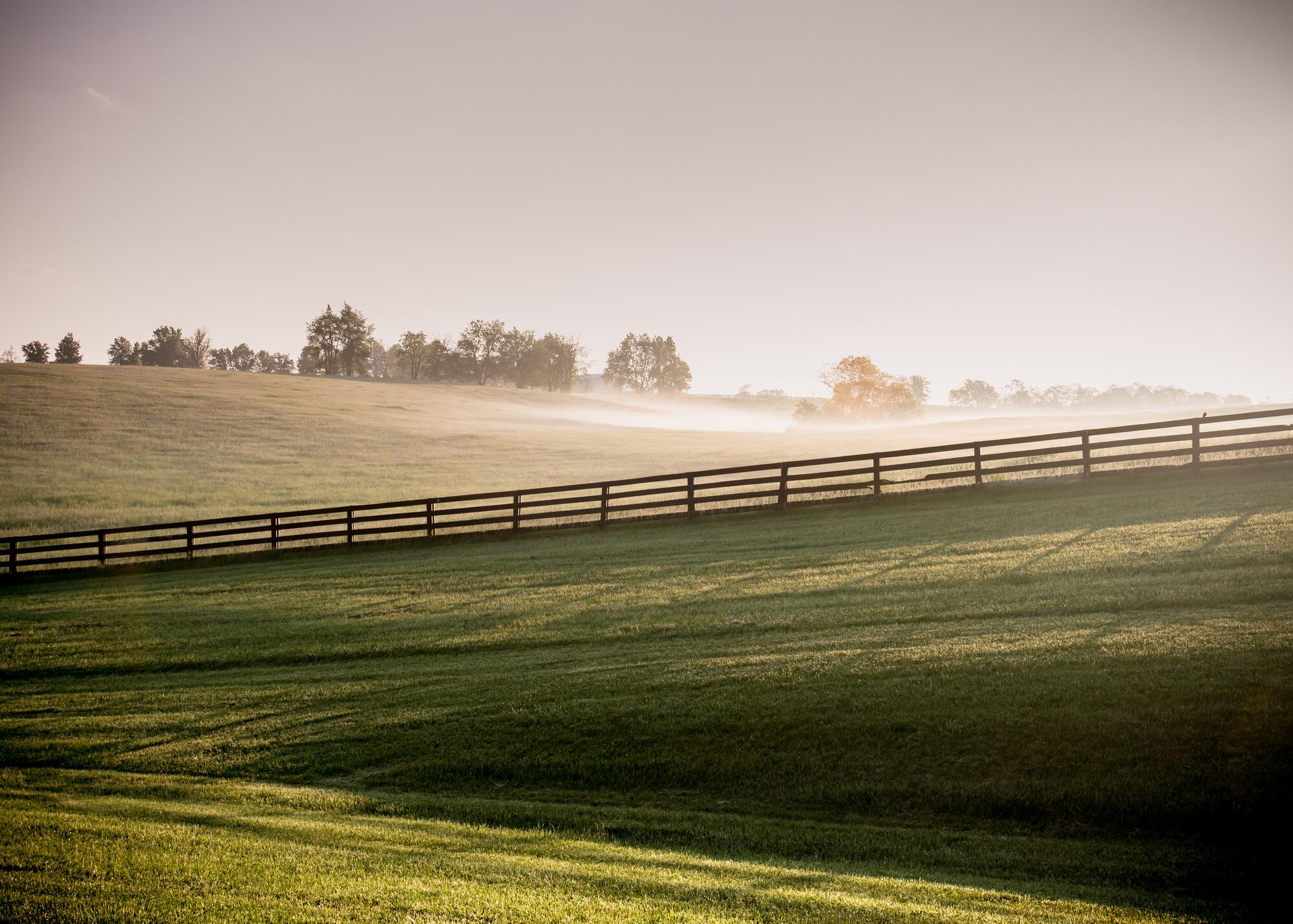 farm in Kentucky
